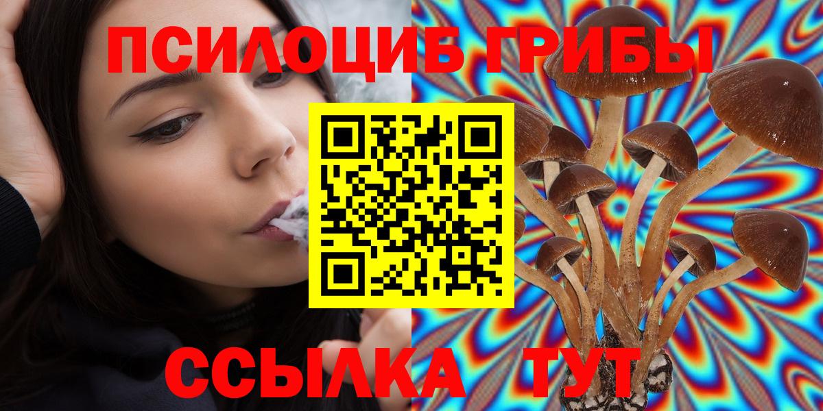 Псилоцибиновые грибы Cubensis Обь